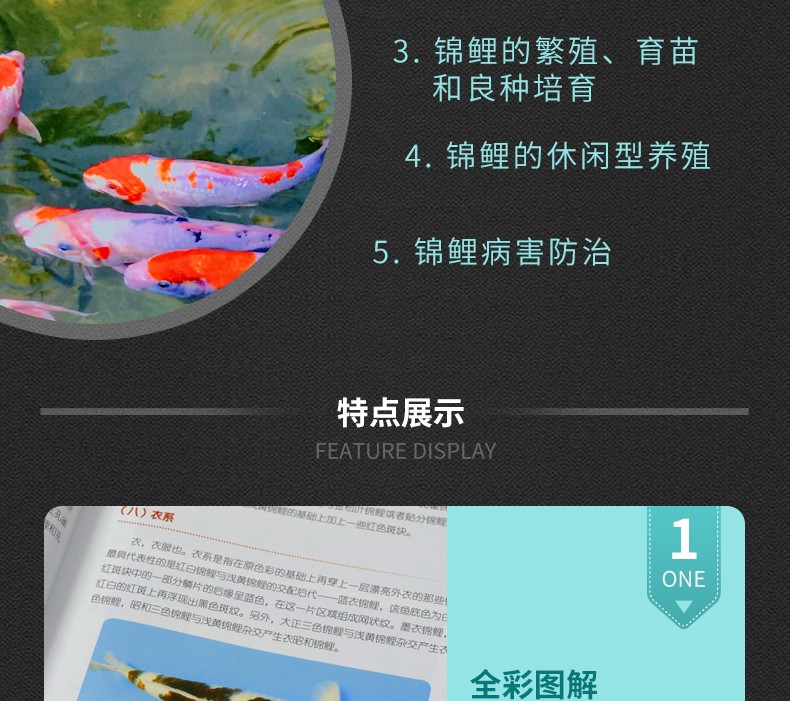 1650294475971784.jpg